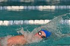 Swimming vs Babson  Wheaton College Swimming vs Babson College. - Photo By: KEITH NORDSTROM : Wheaton, Swimming, Babson